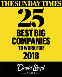 The Sunday Times 25 best big companies